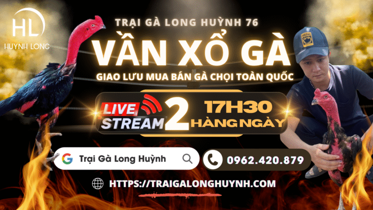 Video 21h09 ngày 9/1 – CLB Gà Chọi Long Huỳnh – Live 2